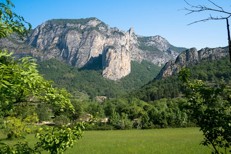 foret-saou-drome