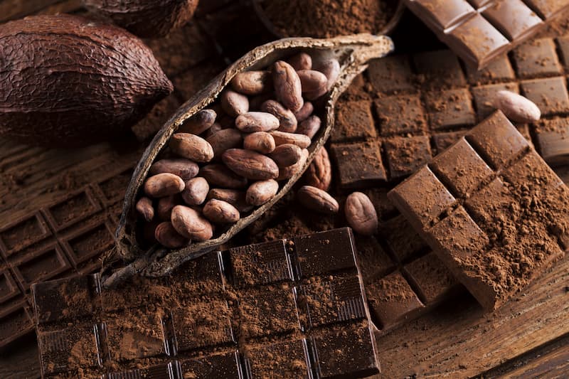 cite-chocolat-valrhona