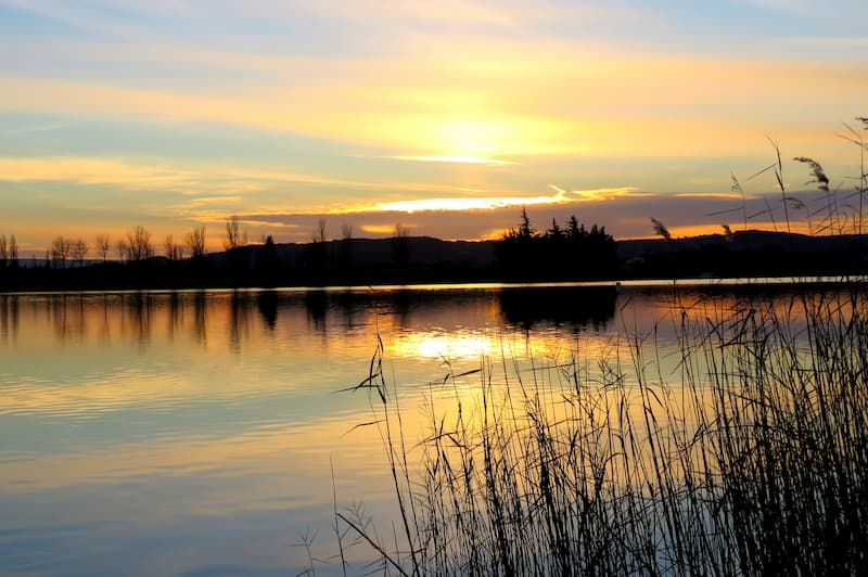 lac-pignedonre