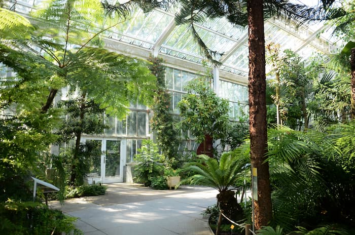 jardin-botanique-jaysinia