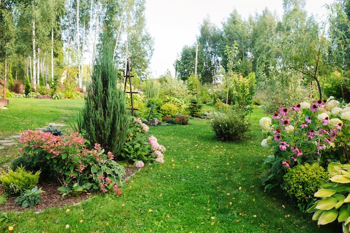jardin-des-plantes-saint-cyprien