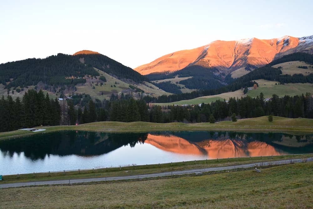 lac-javen