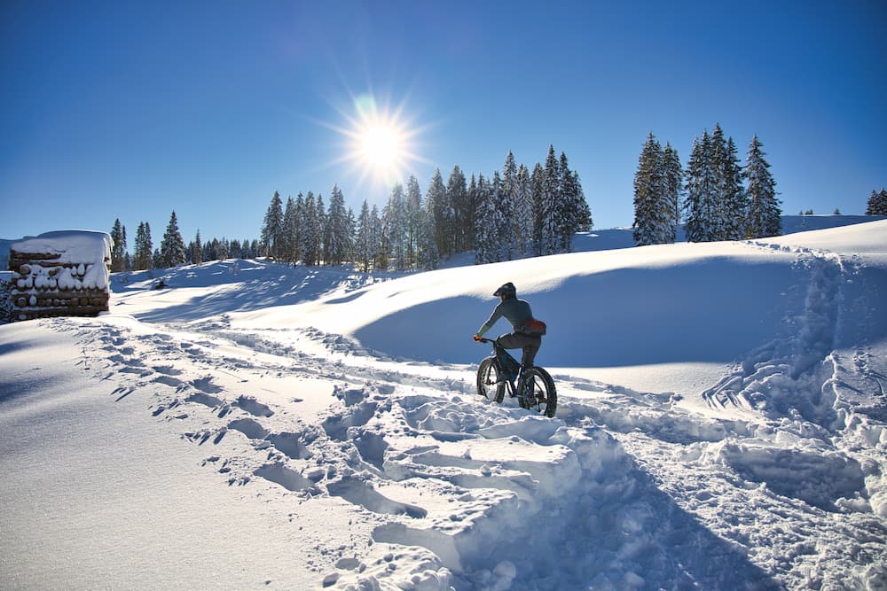 fat-bike-alpes