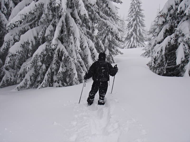 raquettes-praz-de-lys-sommand
